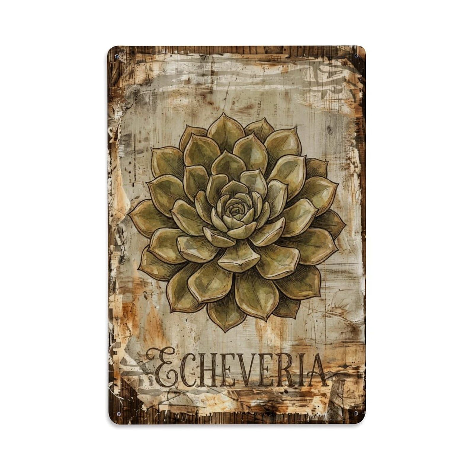 Echeveria Succulent Plant 1 Vintage Metal Tin Sign Plaque Wall Decor for Cafe, Club, Garden Metal Poster 8x12Inch