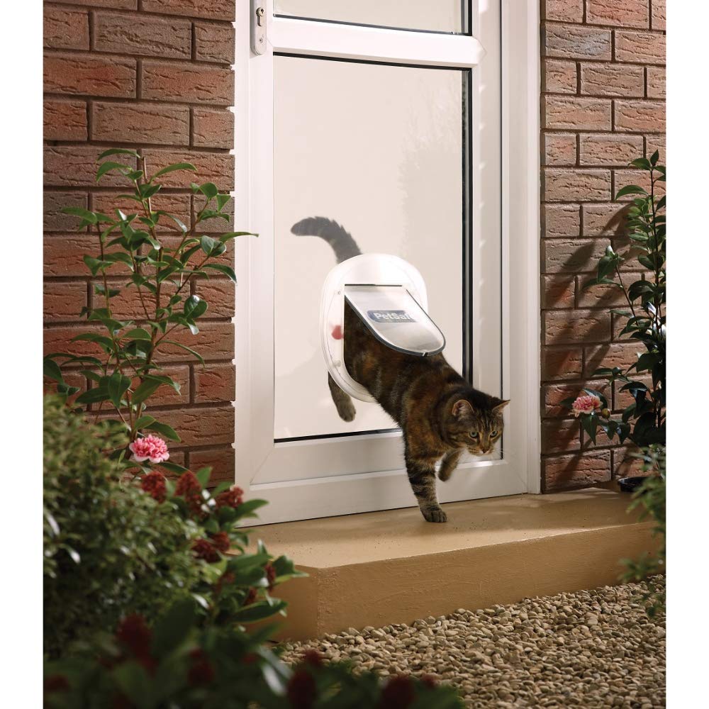 PetSafe Große Katzenklappe für Katzen/kleine Hunde, Ideal für Fenster/Schiebetüren, Tiere bis 10 kg, 4 manuelle Verschlussoptionen, Weiß, Staywell