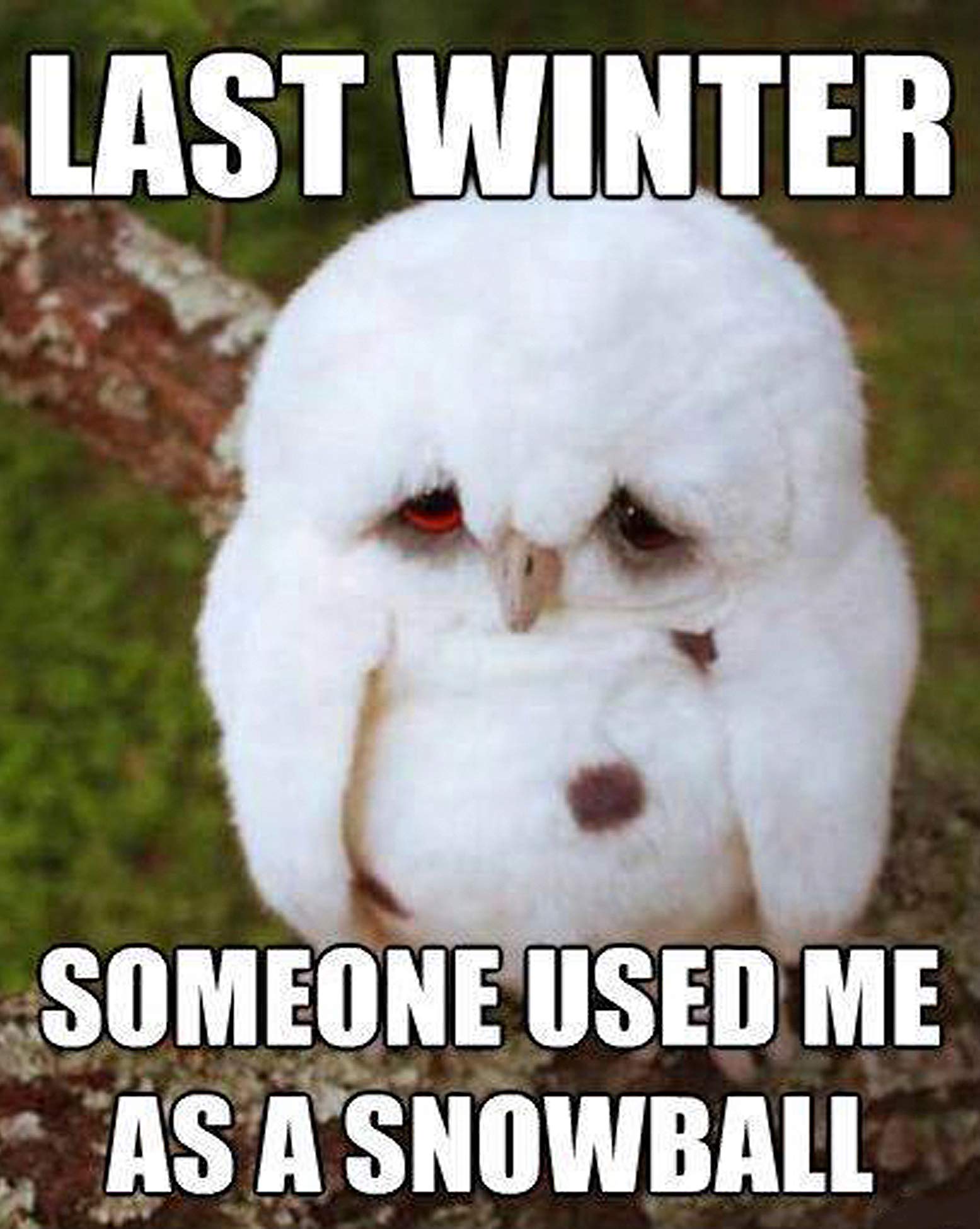 Top Banana Gifts Last Winter, I was a Snowball - Funny Owl - Quality  Heavyweight Mouse Mat : Amazon.co.uk: Computers & Accessories