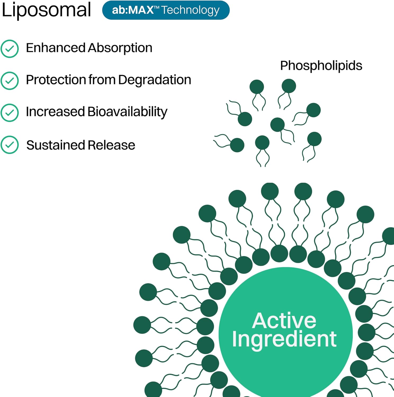 Liposomal Vitamin D3 + K2 Gummies - Mixed Berry Flavor, High Absorption Vitamin D3 5000 IU & Vitamin K2 MK-7 100 mcg, Supports Bone Health, Muscles, Teeth and Joints, Non-GMO, 30 Servings - Image 5