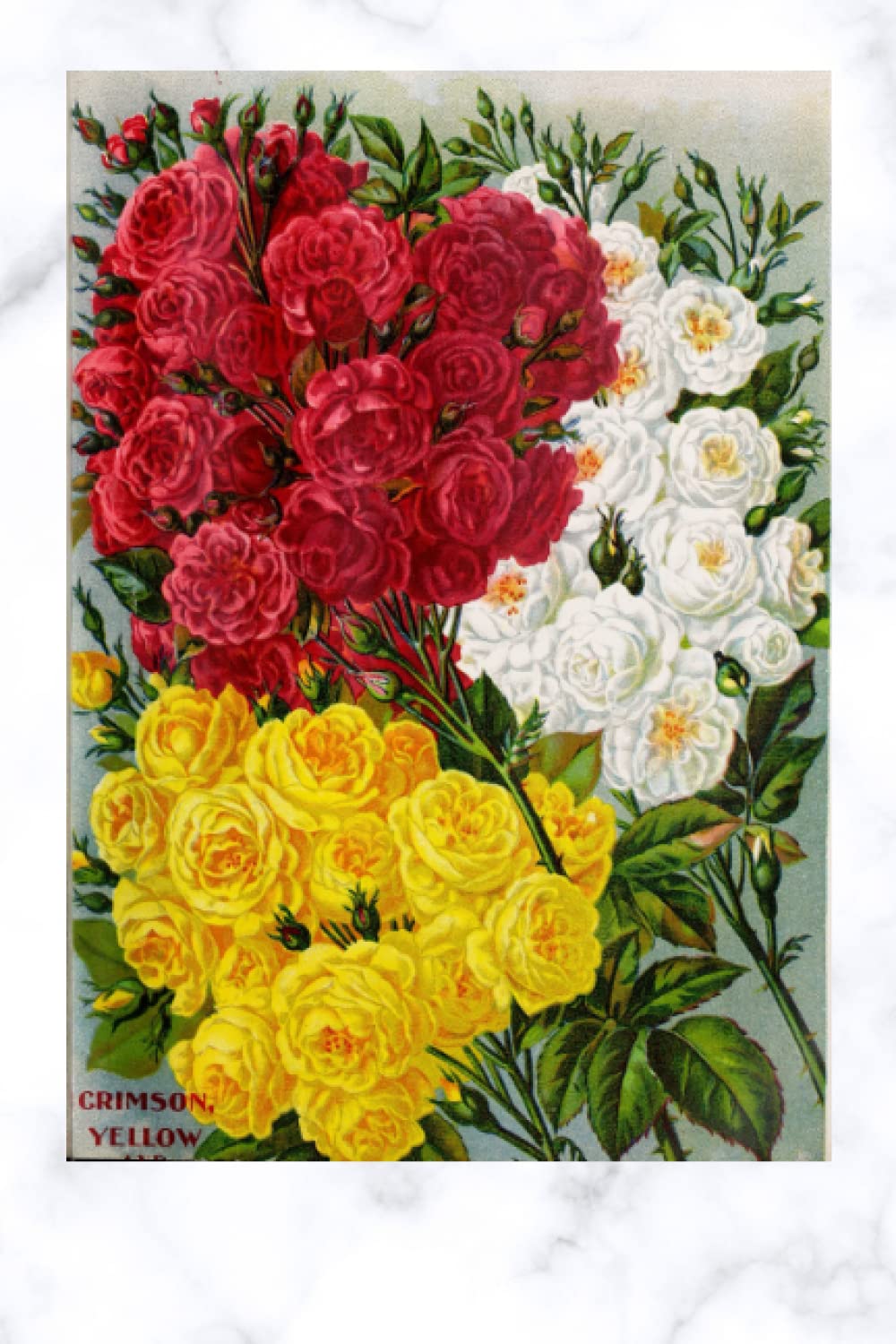 Rose Covered Journal