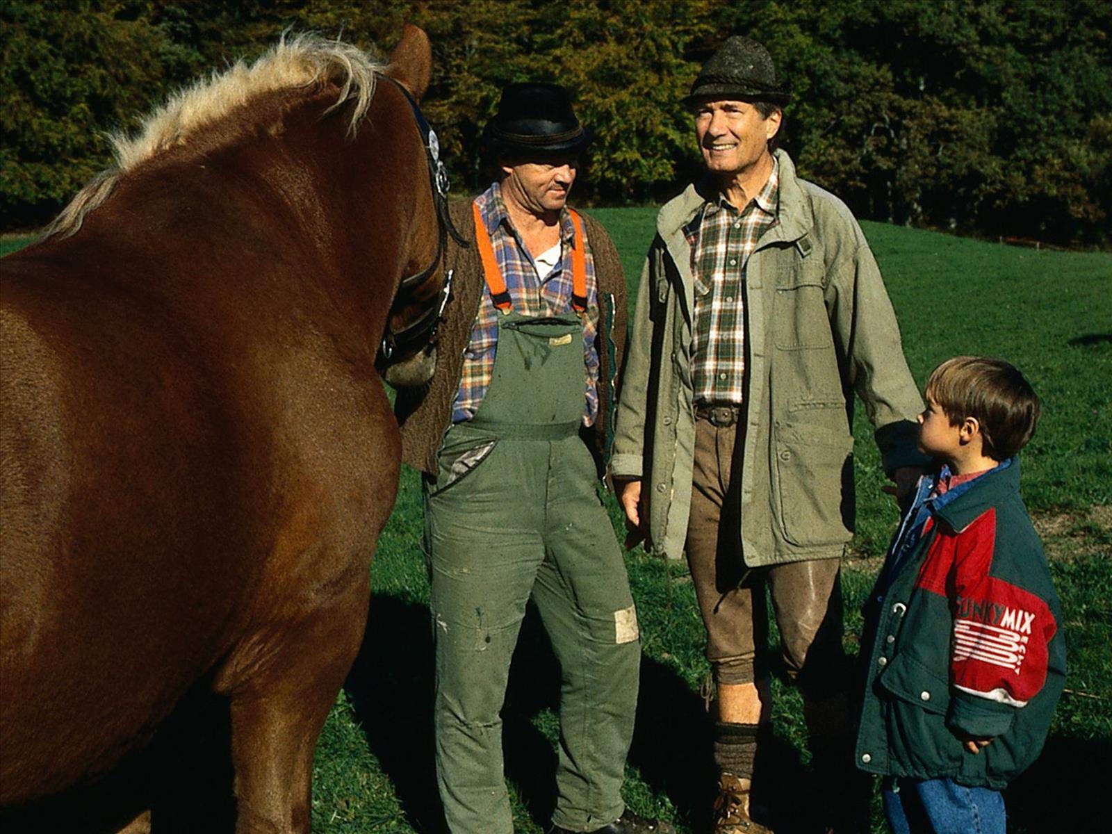 Amazon.de: Forsthaus Falkenau ansehen | Prime Video