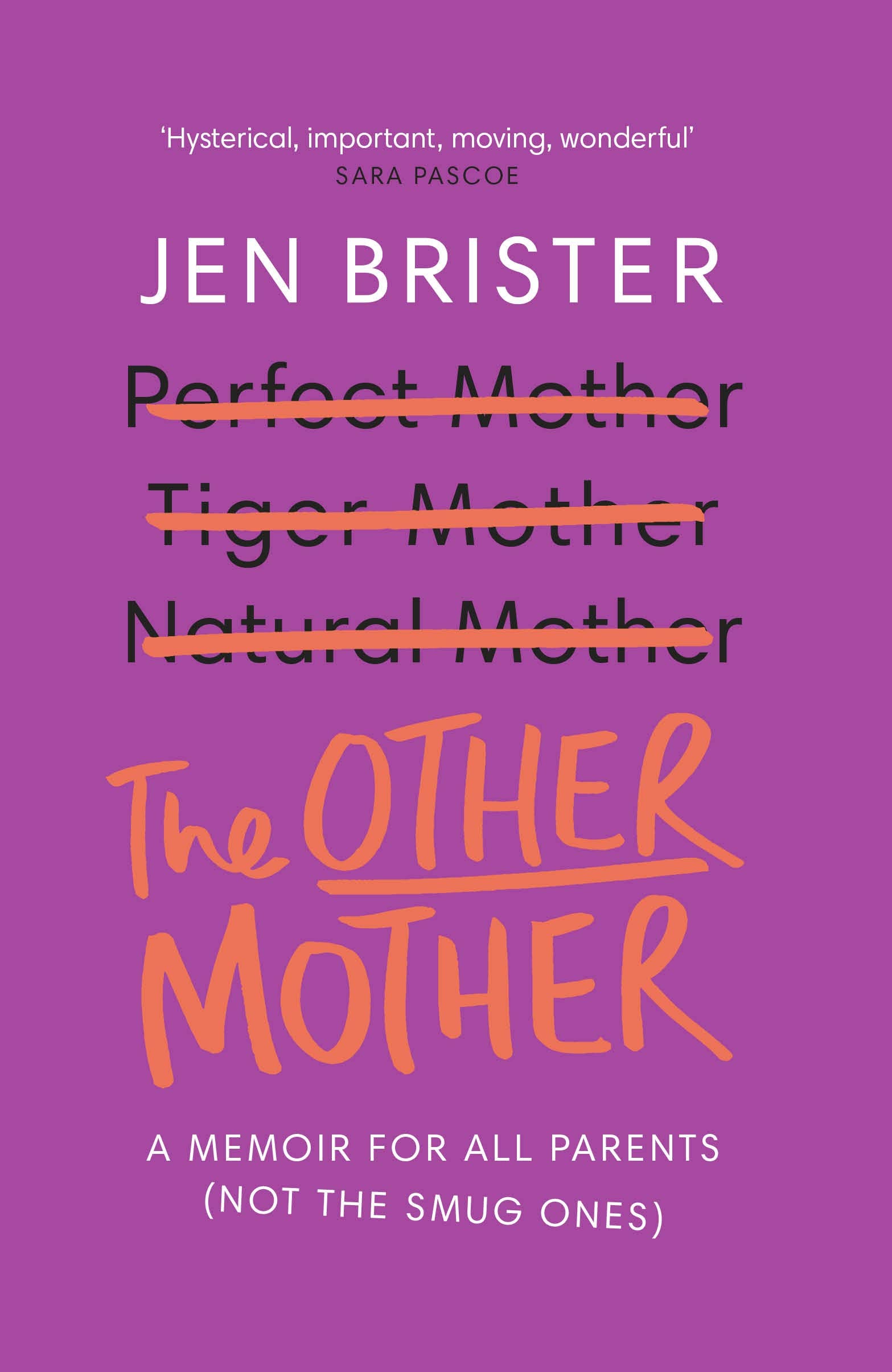 The Other Mother: A wickedly honest parenting tale for every kind of family