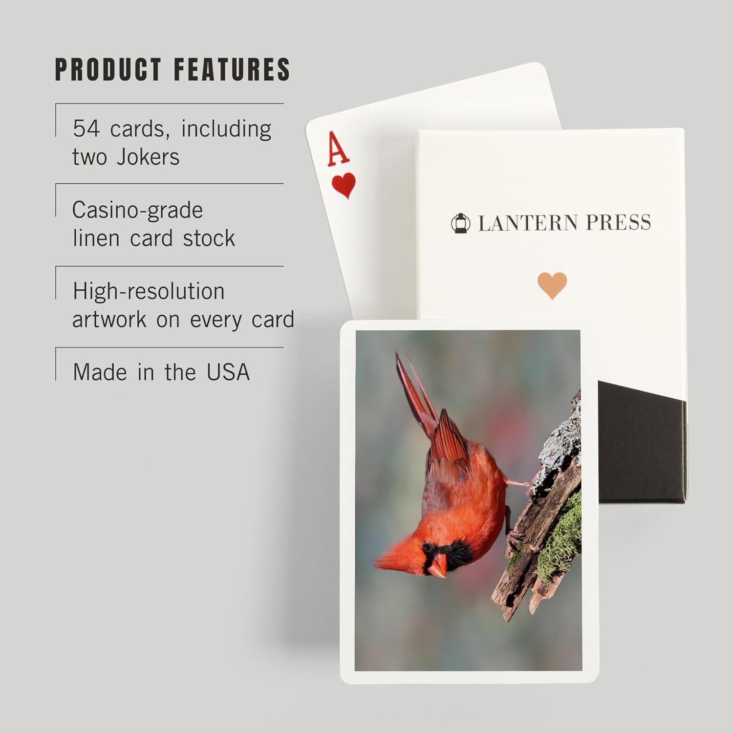 Lantern Press Cardinal, 52 Playing Cards for Adults, Poker Size Card Deck