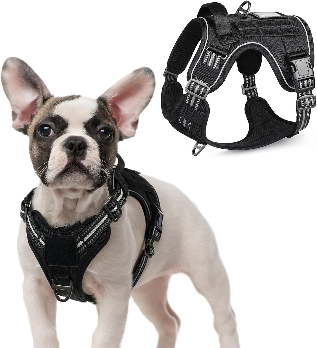 rabbitgoo Tactical Dog Harness for Small, No Pull Military Service Vest | Molle & Handle, Heavy Duty, Adjustable, Reflective Straps, Easy Control for Training Walking, Black, Small