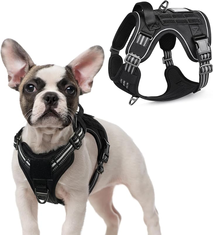 rabbitgoo Tactical Dog Harness for Small, No Pull Military Service Vest | Molle & Handle, Heavy Duty, Adjustable, Reflective Straps, Easy Control for Training Walking, Black, Small