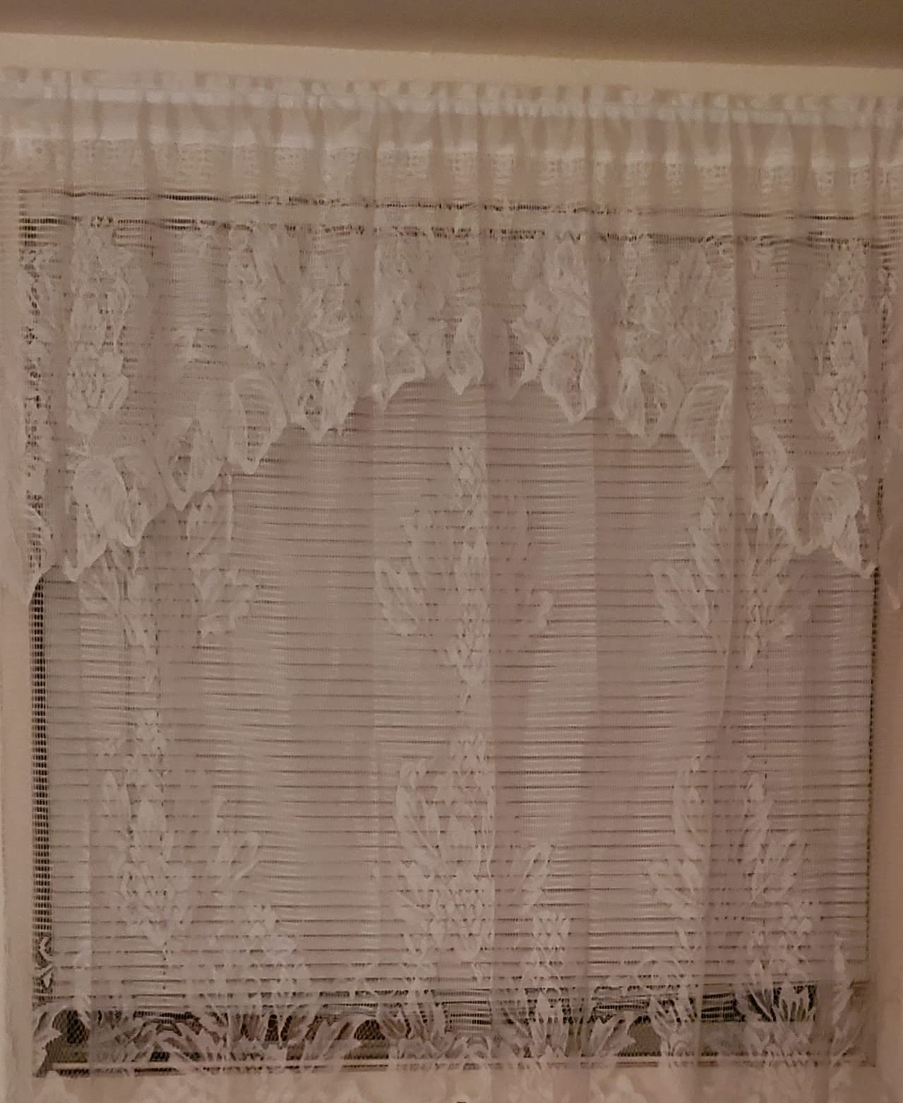 Amazon.com: Carol Wright Gifts Lace Panel with Valance, Rose, Size 60 ...