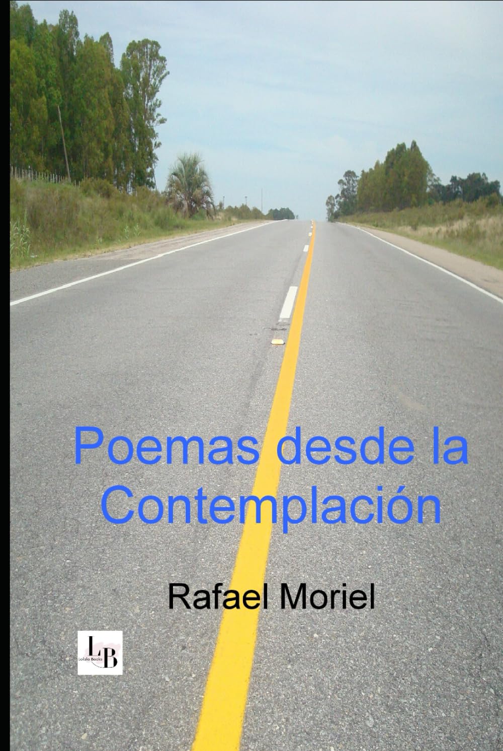Poemas desde la contemplación
