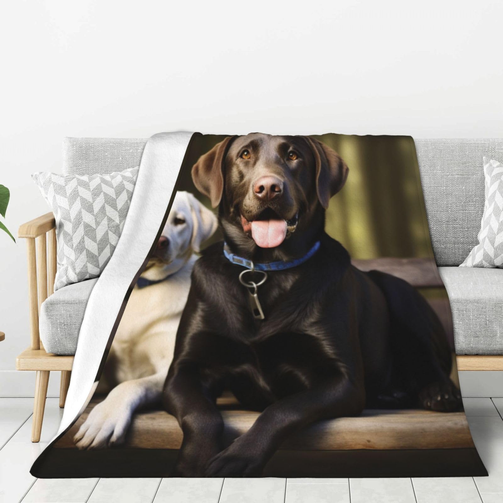 Couverture en flanelle labrador 203x152 cm pour lit et canapé