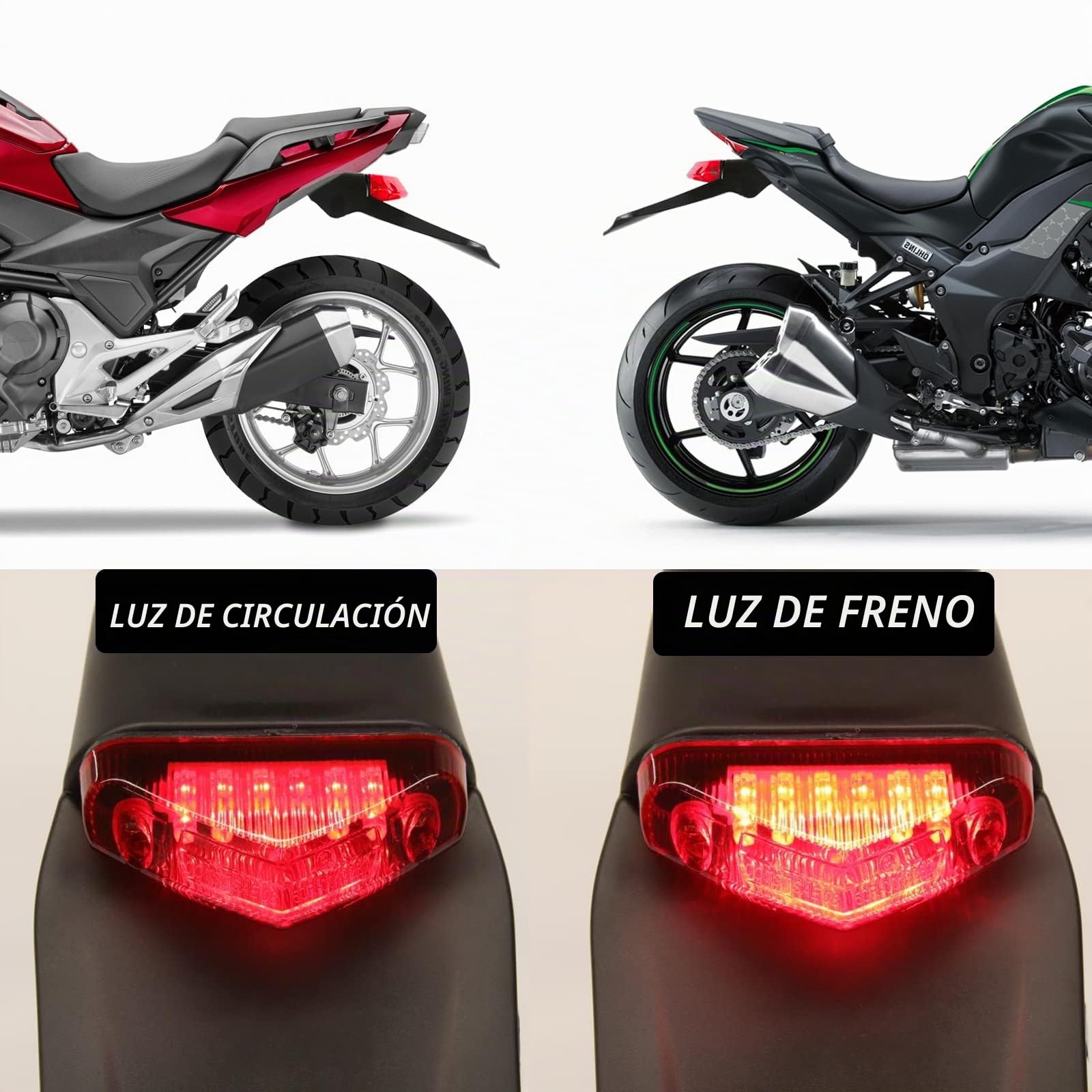 DREAMIZER Luz Trasera Para Motocicleta, Luces De Freno para Motocross, 12V Homologado Guardabarros Trasero, Universal para Enduro Dirt Bike XR250 400 650 WR250F 450F 250X 450X Crf Mx Trail Supermoto