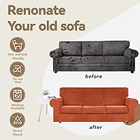 Vista 197 de WEERRW Fundas de terciopelo para sofá de 2 cojines, fundas de sofá de felpa de terciopelo de lujo de alta elasticidad, con parte inferior elástica