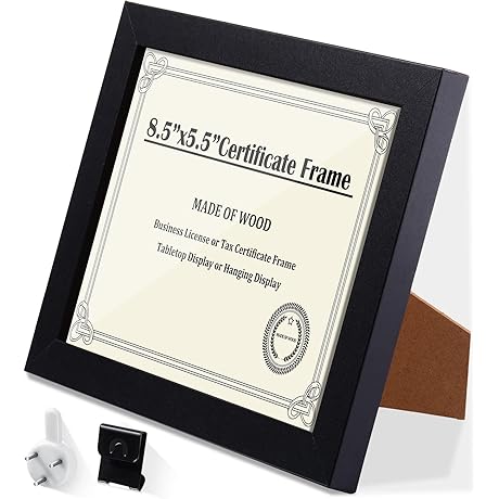 Aesthetician Tool: Cosmetology License Frame for Professionals