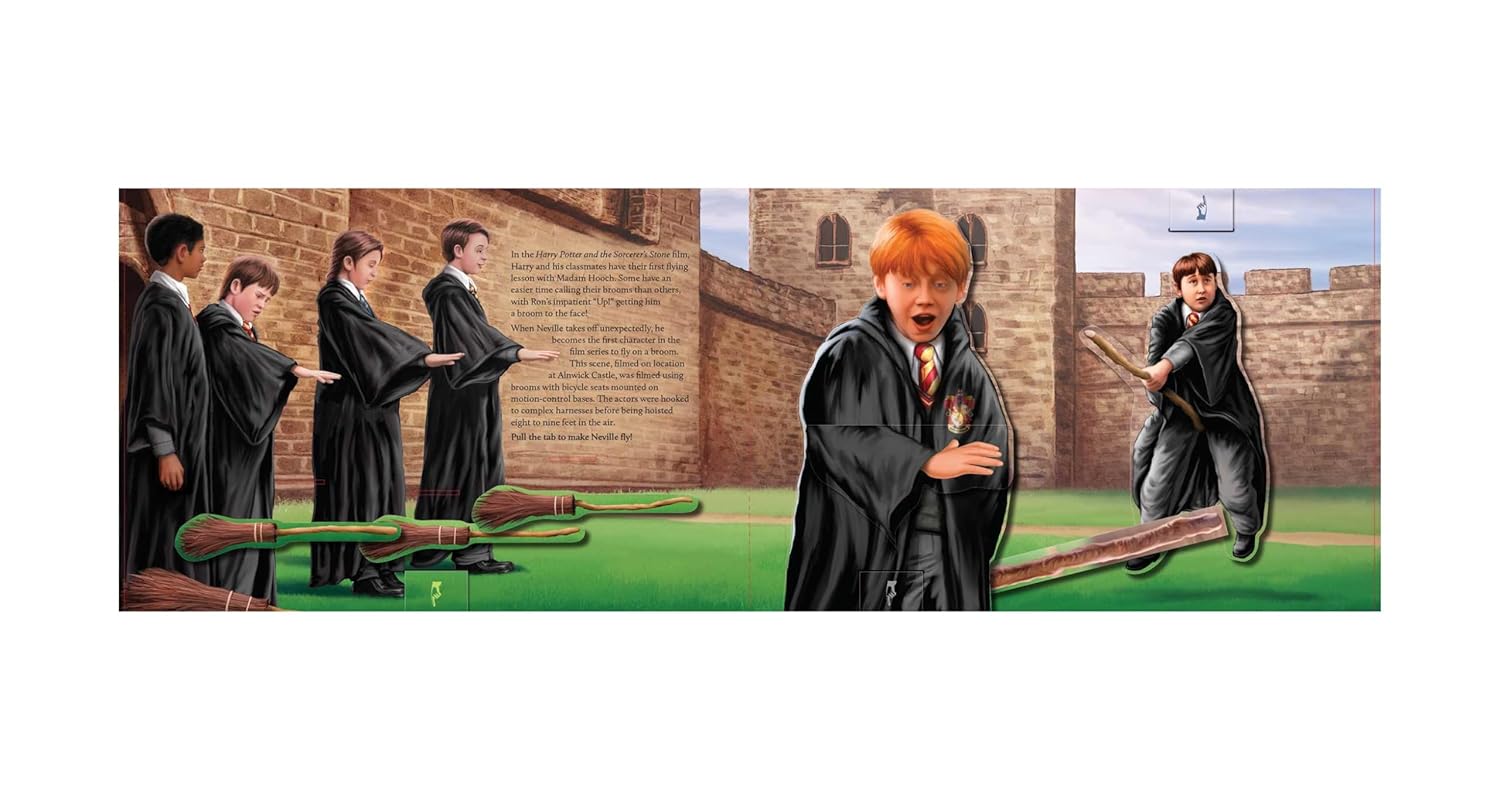 Harry Potter: Quidditch: A Book of Magical Surprises      Hardcover – October 6, 2026