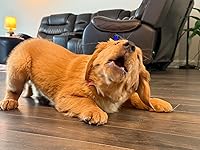 Review Image by Tyler Tyler