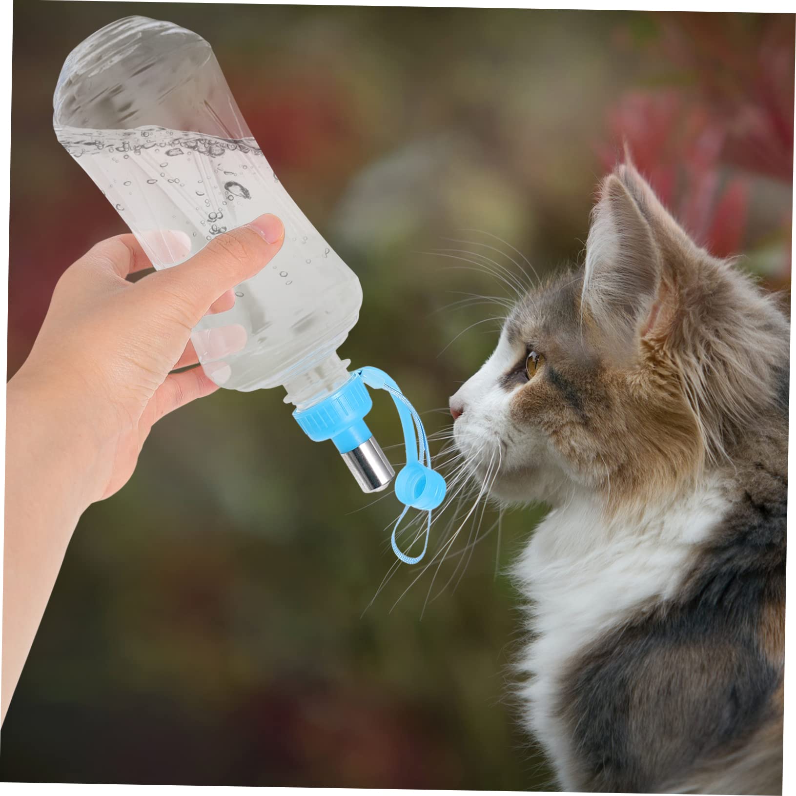 Abaodam 2pcs Dog Water Bottle Cap for Cat Rabbit Puppy Small Animal Kettle Lid Portable Water Fountain Easy Cleaning Ideal Present
