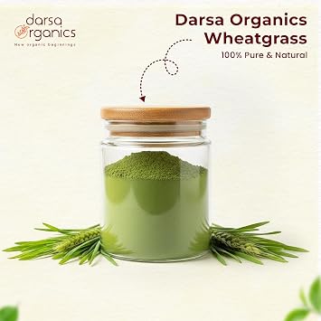 Wheatgrass Powder 1 lb - Premium USDA Organic Wheat Grass, Fine-Milled Green Powder for Smooth Mixing - Non-GMO, Vegan, and Gluten-Free, Fresh-Sealed Resealable Pouch