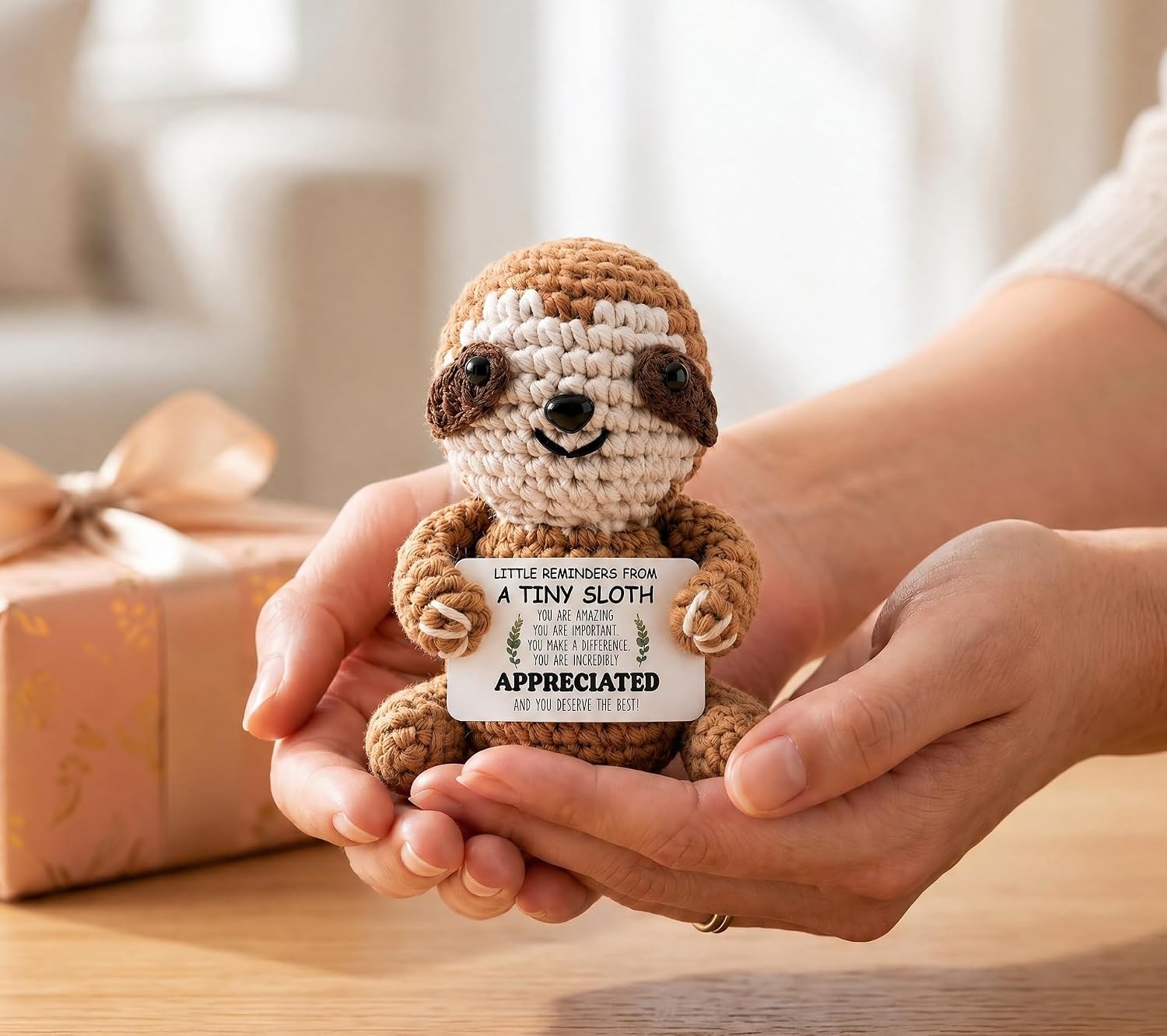 Graduation Inspirational Gifts for Women, Positive Crochet Sloth Gifts for College Students Nurses Week Teacher Her Him Little Reminders Birthday Emotional Cheer Support Stress Relief Encouragement