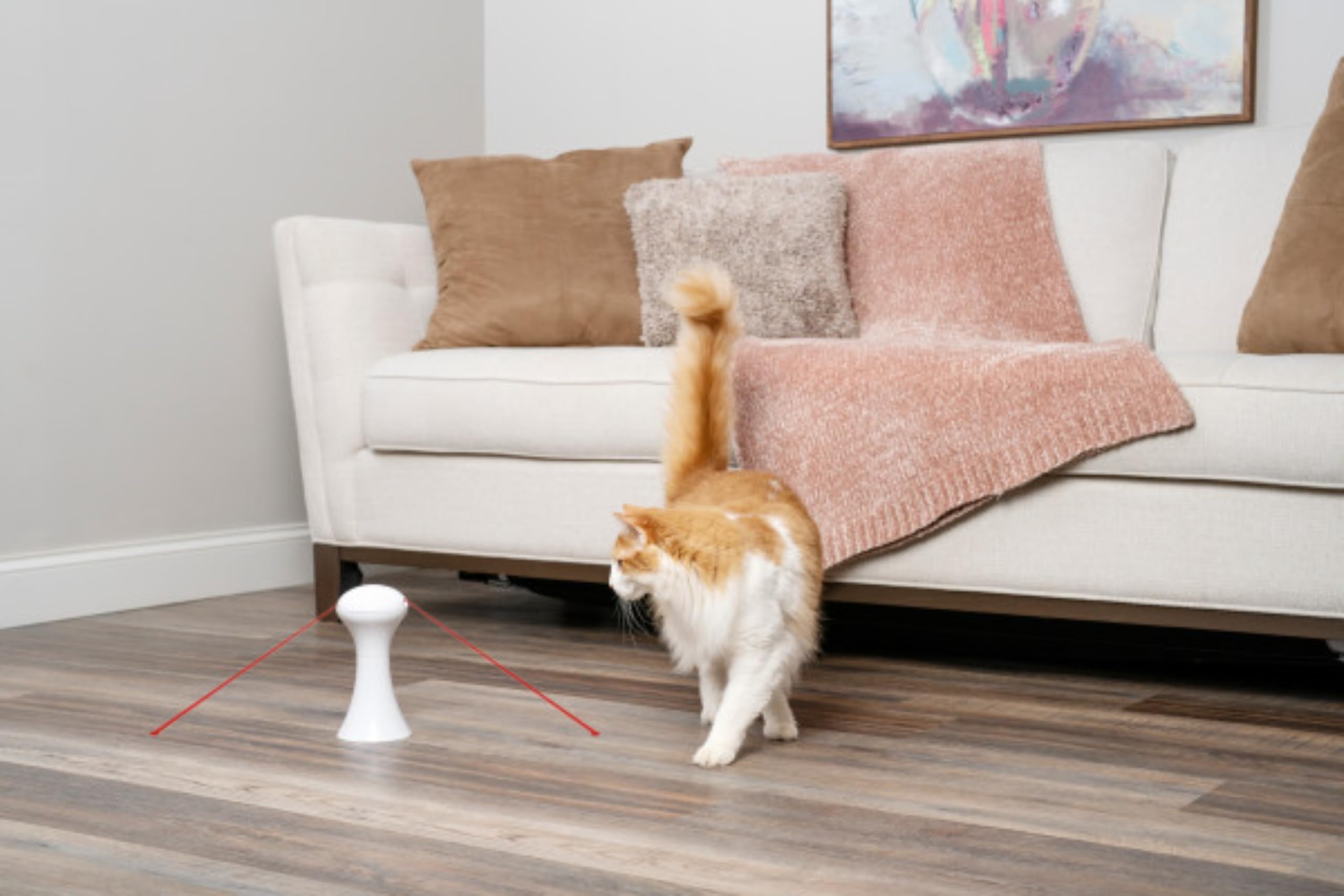 PetSafe Multi-Light Katzenspielzeug – 0,34 kg