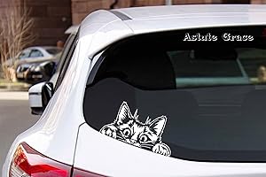 Cute Curious Peeking Kitty Cat Car Decal: Express Your Feline Love on the Road!