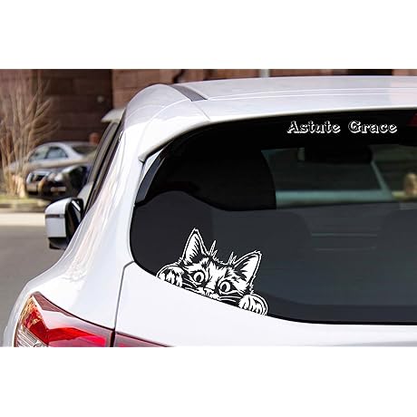 Cute Curious Peeking Kitty Cat Car Decal: Express Your Feline Love on the Road!