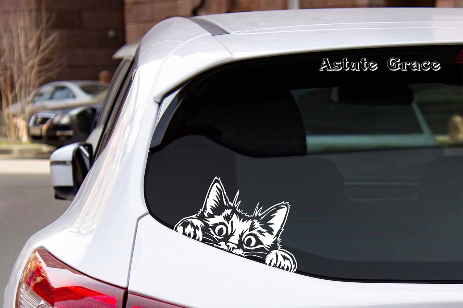 Curious Peeking Kitty Cat Die Cut Decal Sticker for Car Window Car Bumper Truck Laptop Computer Skateboard (White)
