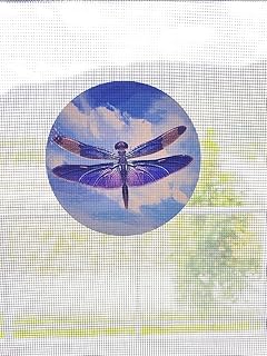 Retractable Screen Door Decals (Stickers) - 6 per Package - Keep Children Safe - Alert Birds, Dogs, Kids - Warn, Protect, Window Safety - Dragonflies