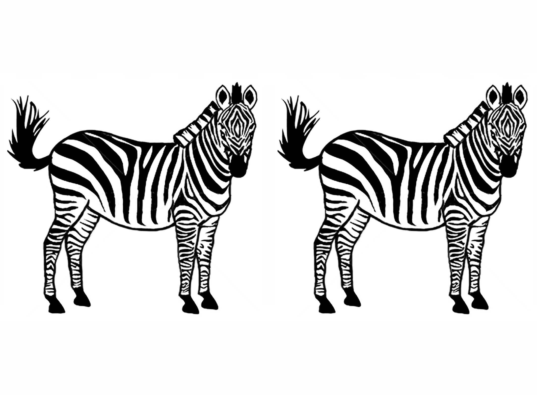 Zebra 4 pcs 2.15 Inch Black Fused Glass Decals