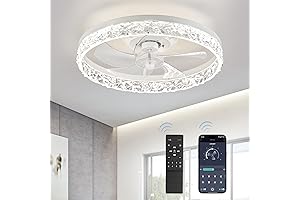 LEdiary 20 Inch LED Flush Mount Ceiling Fan with Dimmable Light, Low...