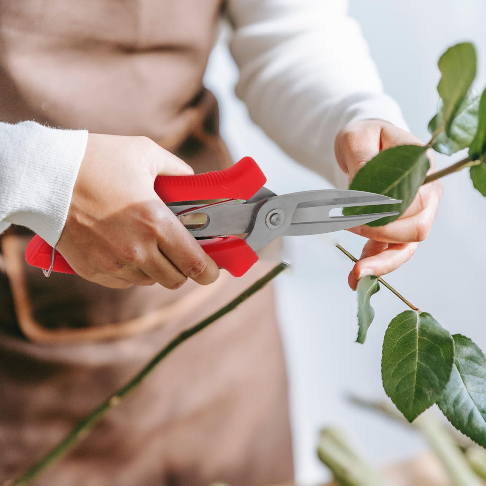 Toyvian 5stücke Garten Scheren Für Präzises Beschneiden Professionelle Pflanzenschneider Mit Rutschfestem Griff Für Obstbäume Und Zierpflanzenpflege