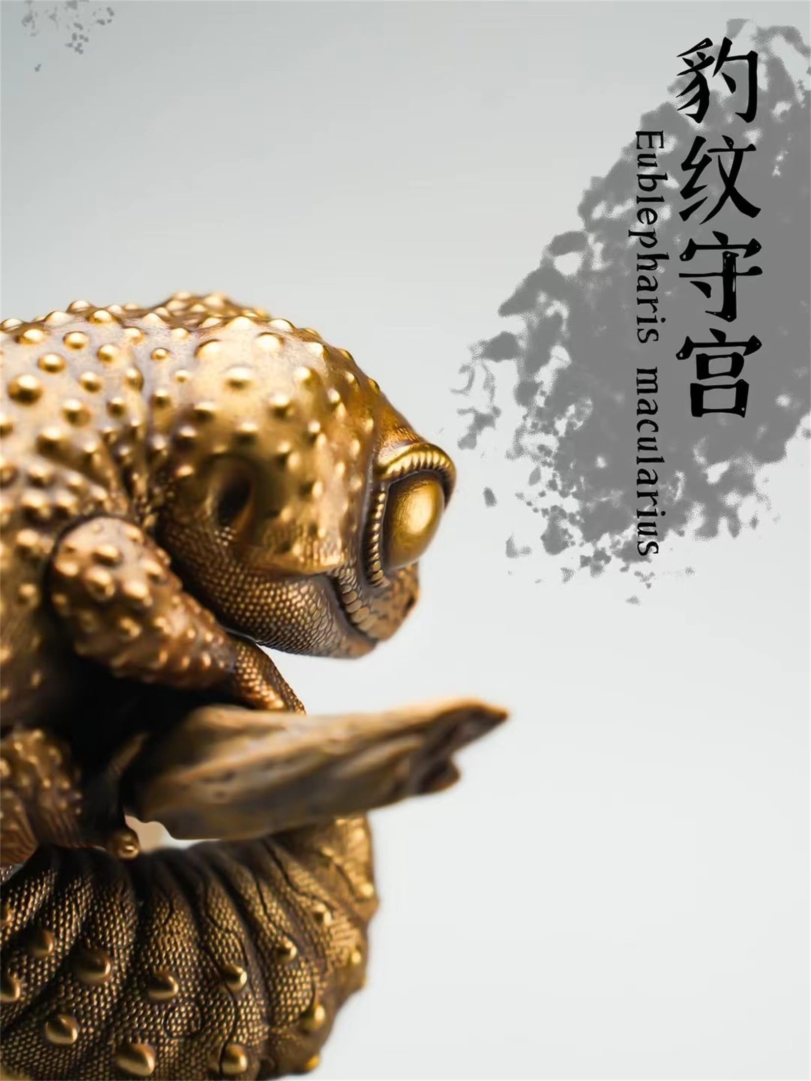 Amazon | BACALYSO | 博物志 ヤモリ ヒョウモントカゲモドキ