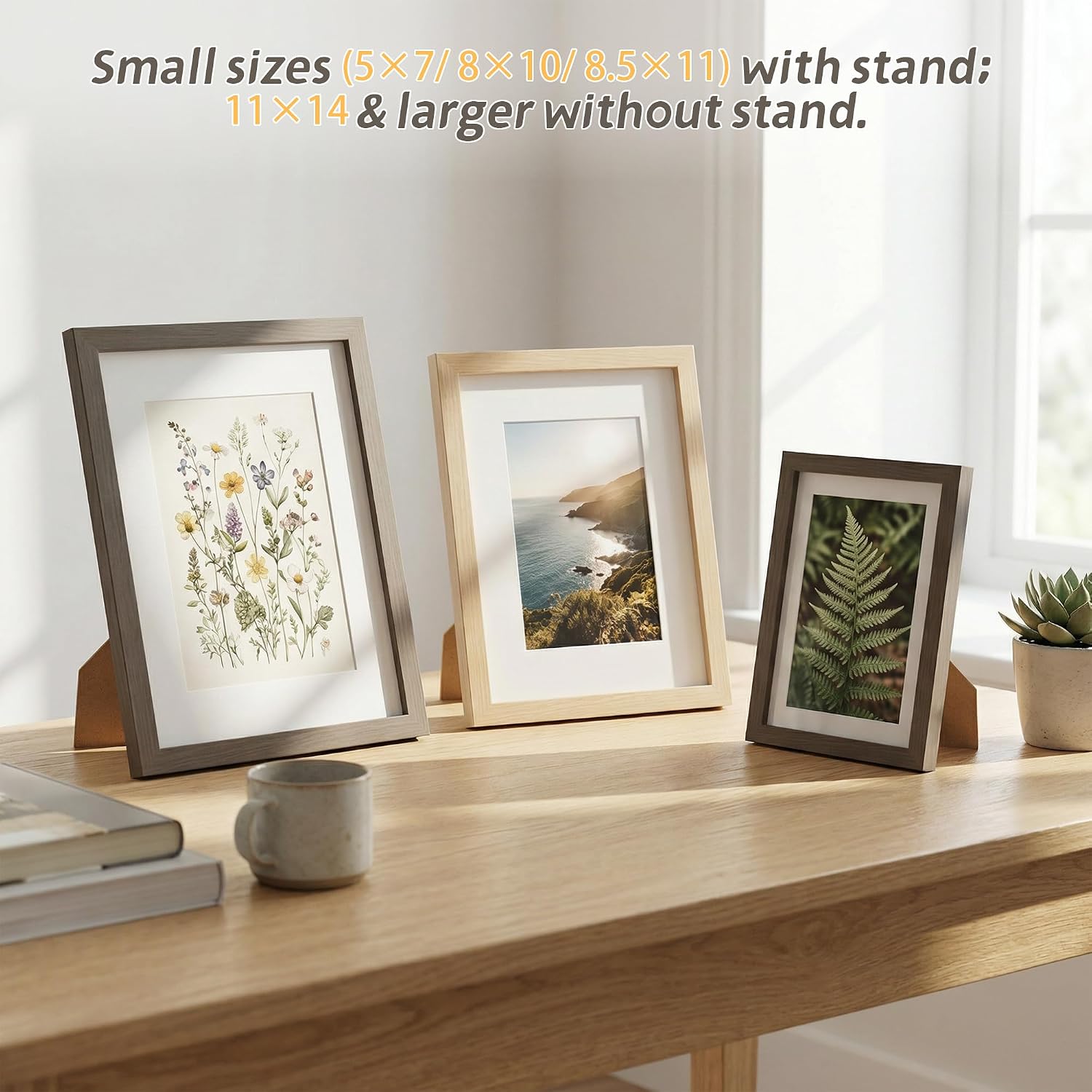 8.5 by 11 Picture Frame Set of 2 Natural Solid Wood Veneer 2 Pack 8.5 x 11 Frame with Shatterproof Plexiglass Picture Frames 8.5 x 11 Without Mat Wall Hanging for Diplomas Document Certificates, 2 Pack