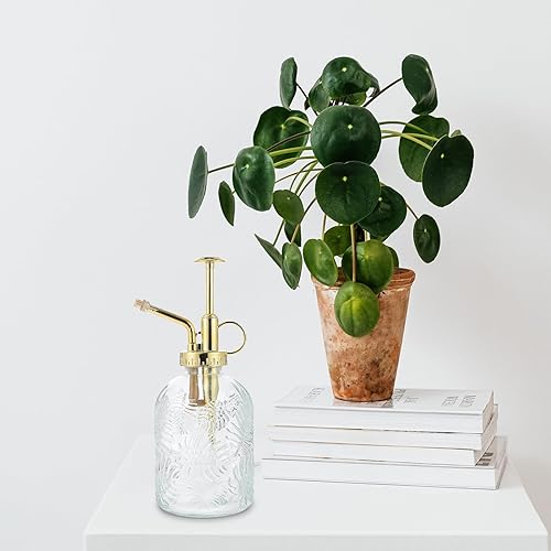 Miniatura 9 de YARNOW Regadera Bomba de riego Mister Flower Botella de spray de agua Spritzer Botella de spray Mister decorativa Botella de spray de planta Botella