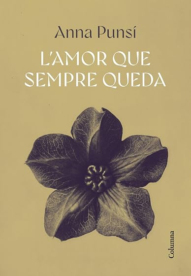 L'amor que sempre queda
