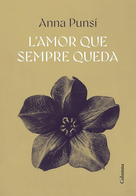 Portada de L'amor que sempre queda