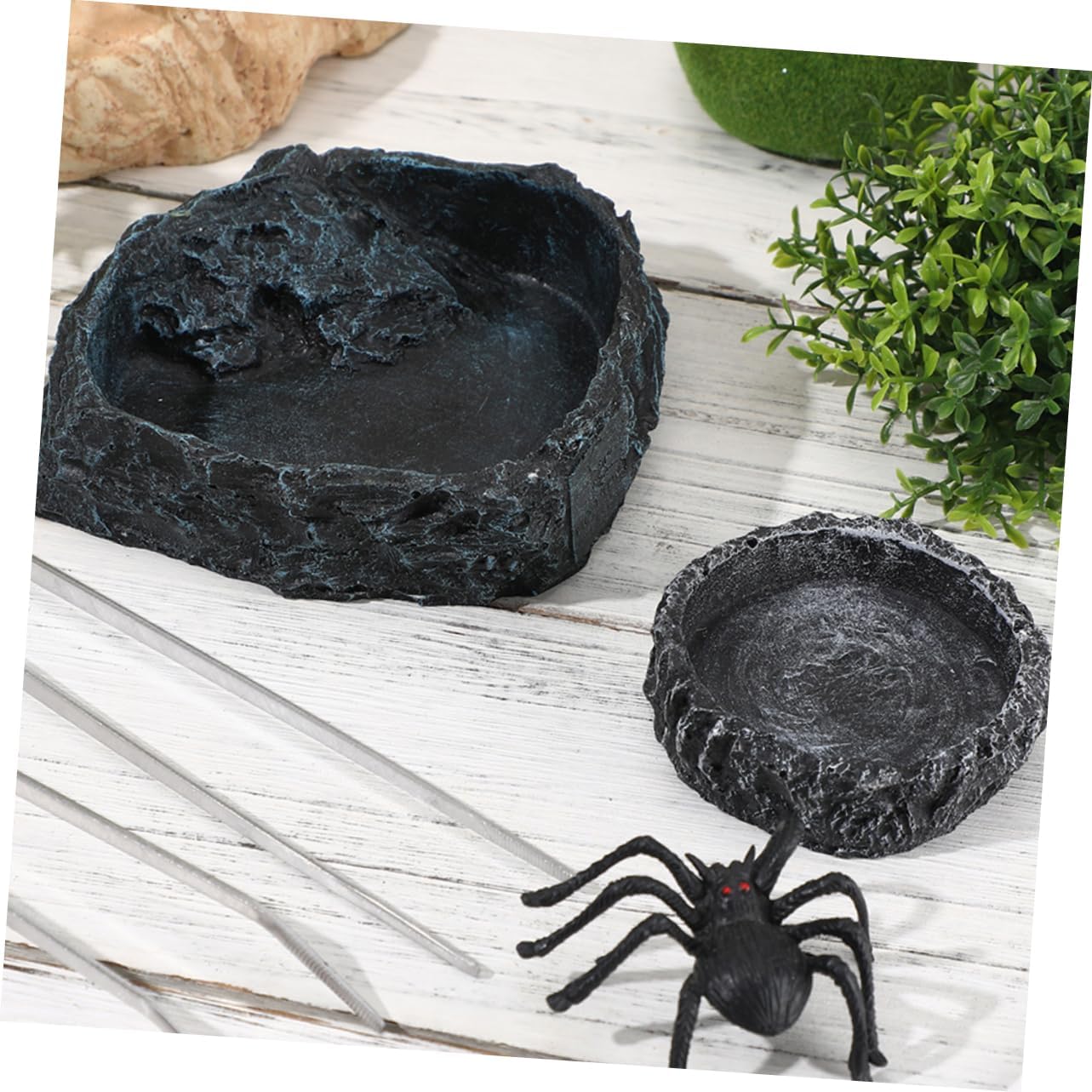 DECHOUS 1set Reptile Feeding Bowl Dual-purpose Water and Food Dish for Bearded Dragons and Snakes Spacious Design Easy to Clean for Reptile Habitats Includes Feeding Tongs