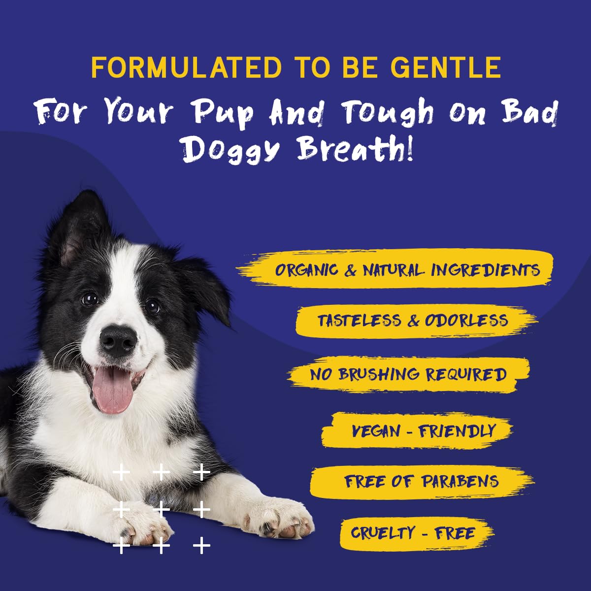 PupGrade Dental Care Water Additive Solution - Advanced Oral Care for Dogs - Dental Rinse for Fresh Breath to Fight Against Bad Breath, Plaque, and Tartar - image 6