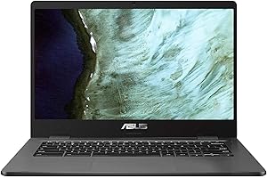 ASUS C423NA Chromebook