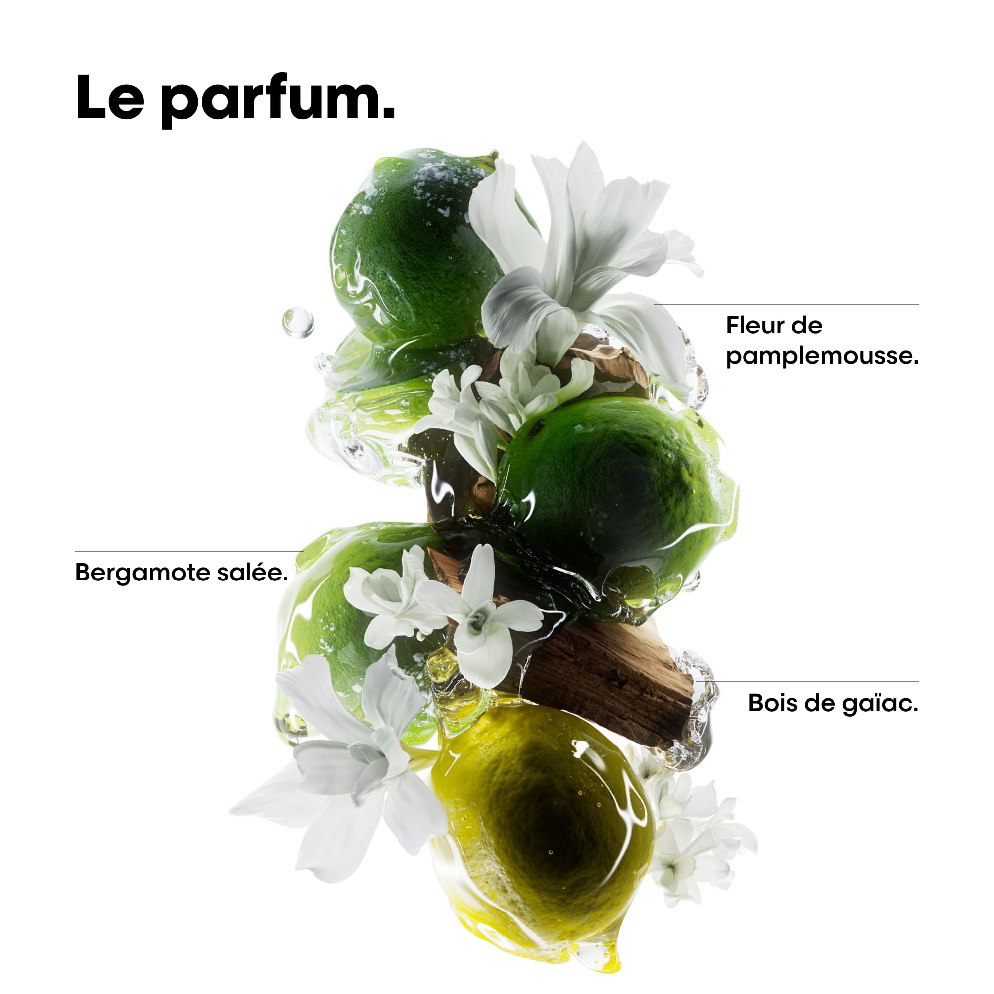 L'OREAL PROFESSIONNEL - Metal Detox - Cheveux Secs et Abîmés, Raides à Bouclés, Naturels à Colorés - Sans Sulfate - Anti-Casse - +67% de Nutrition - 2x Plus de Brillance