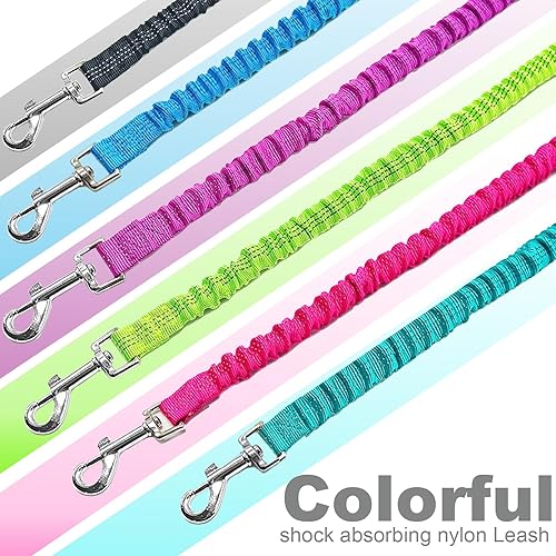 Miniatura 6 de Bungee Dog Leash- 5FT Shock Absorbing & Reflective Nylon Leash | Anti-Pull Training for Small/Medium Dogs | 2cm Wide, 6 Colors (Teal)