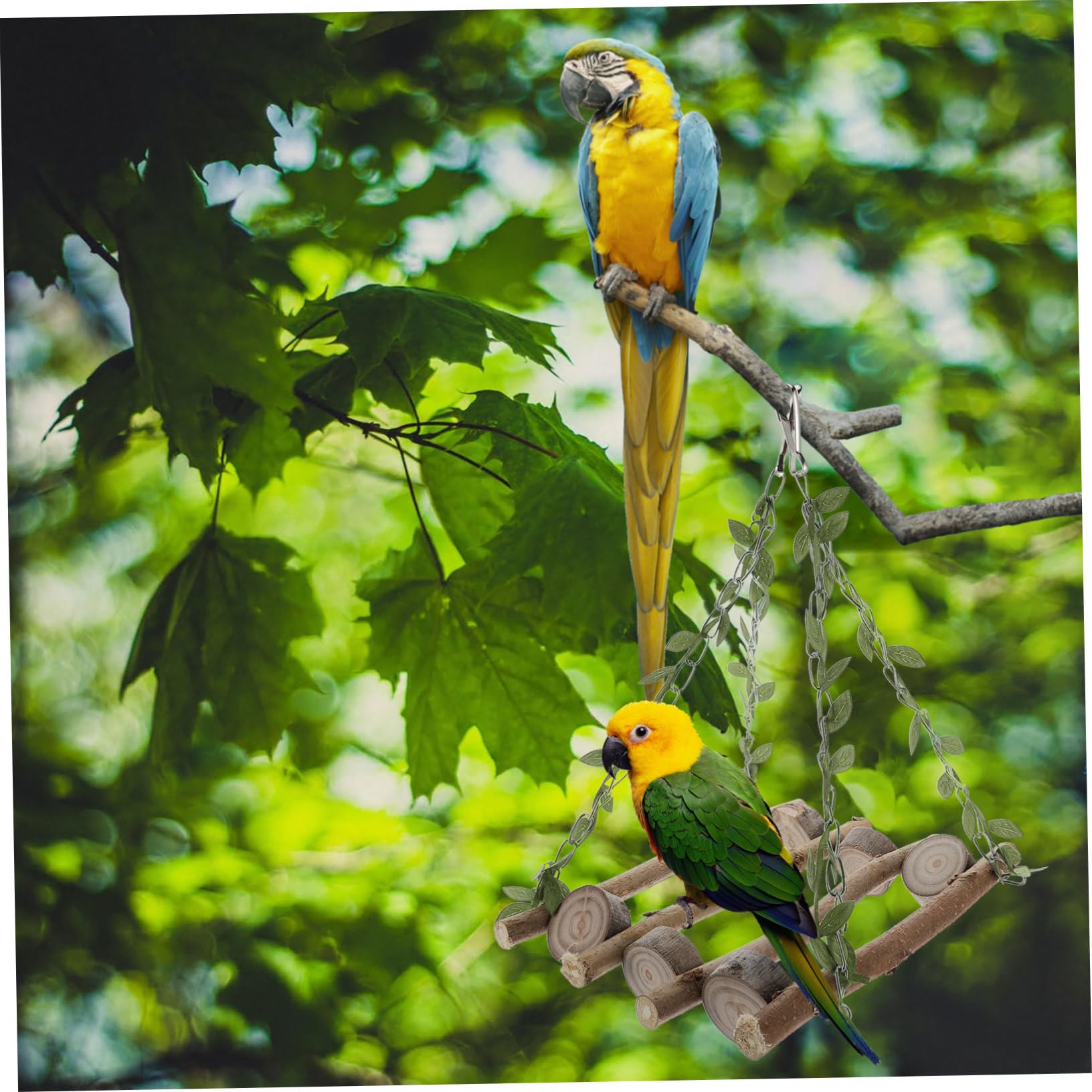 Kisangel 3 Piezas De Juguetes para Loros Columpios para Pájaros Columpio para Pájaros Juguetes Colgantes para o Colgante De Madera Soporte para Loros o para