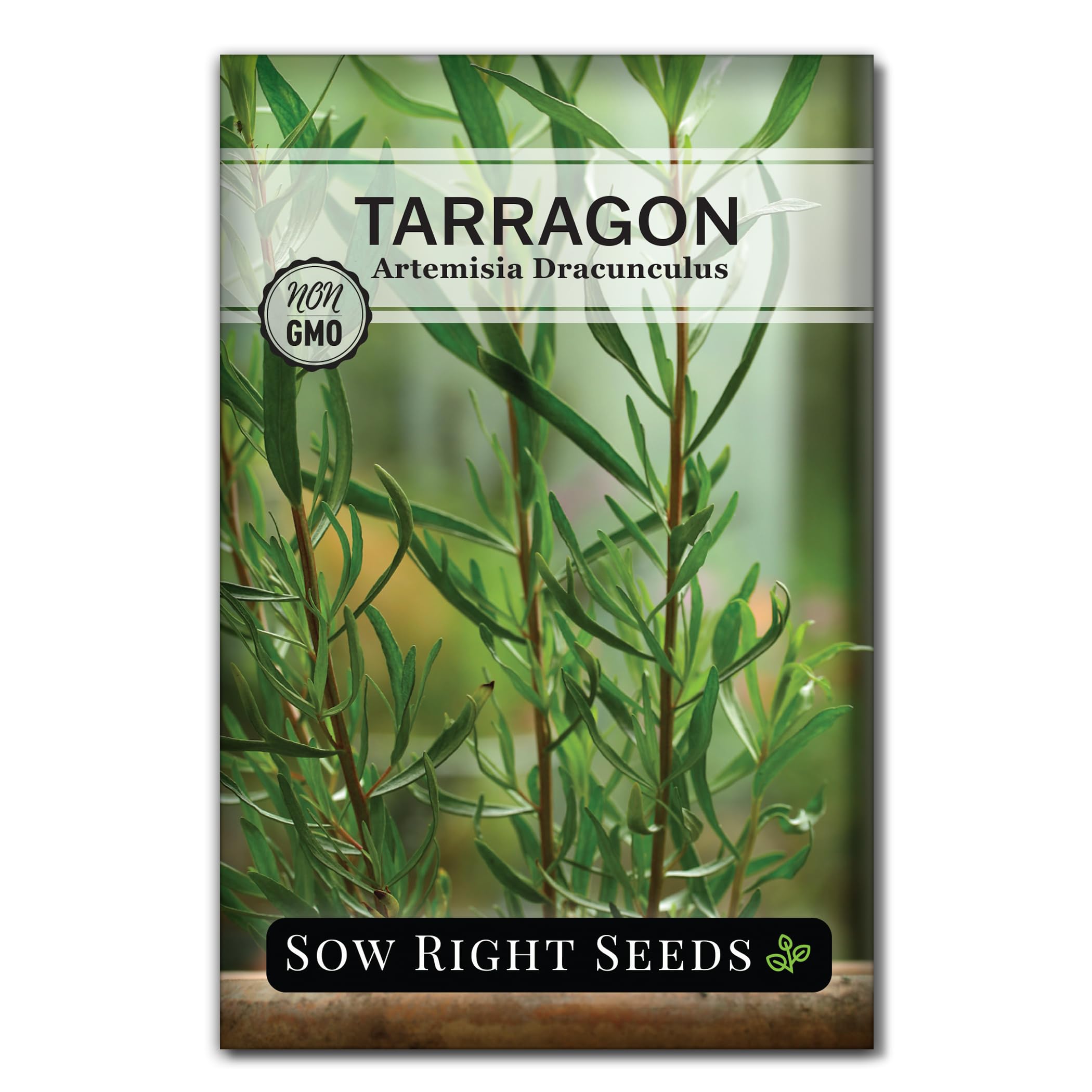 Amazon.com : Sow Right Seeds - Tarragon Seed for Planting Your