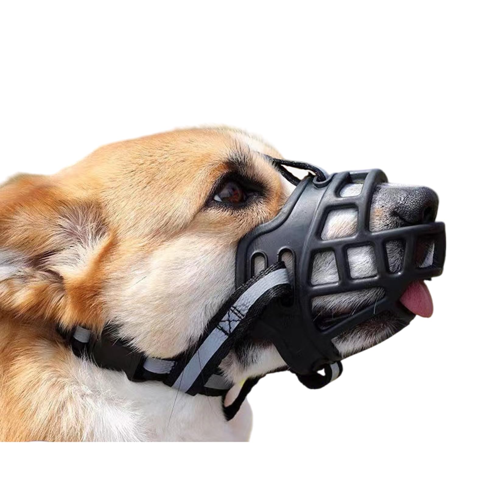 Bozal de Entrenamiento Transpirable for Perros. Permite jadear, Beber y Entrenar. Incluye Cesta de plástico Resistente.,Bozal para Perro(No.3)