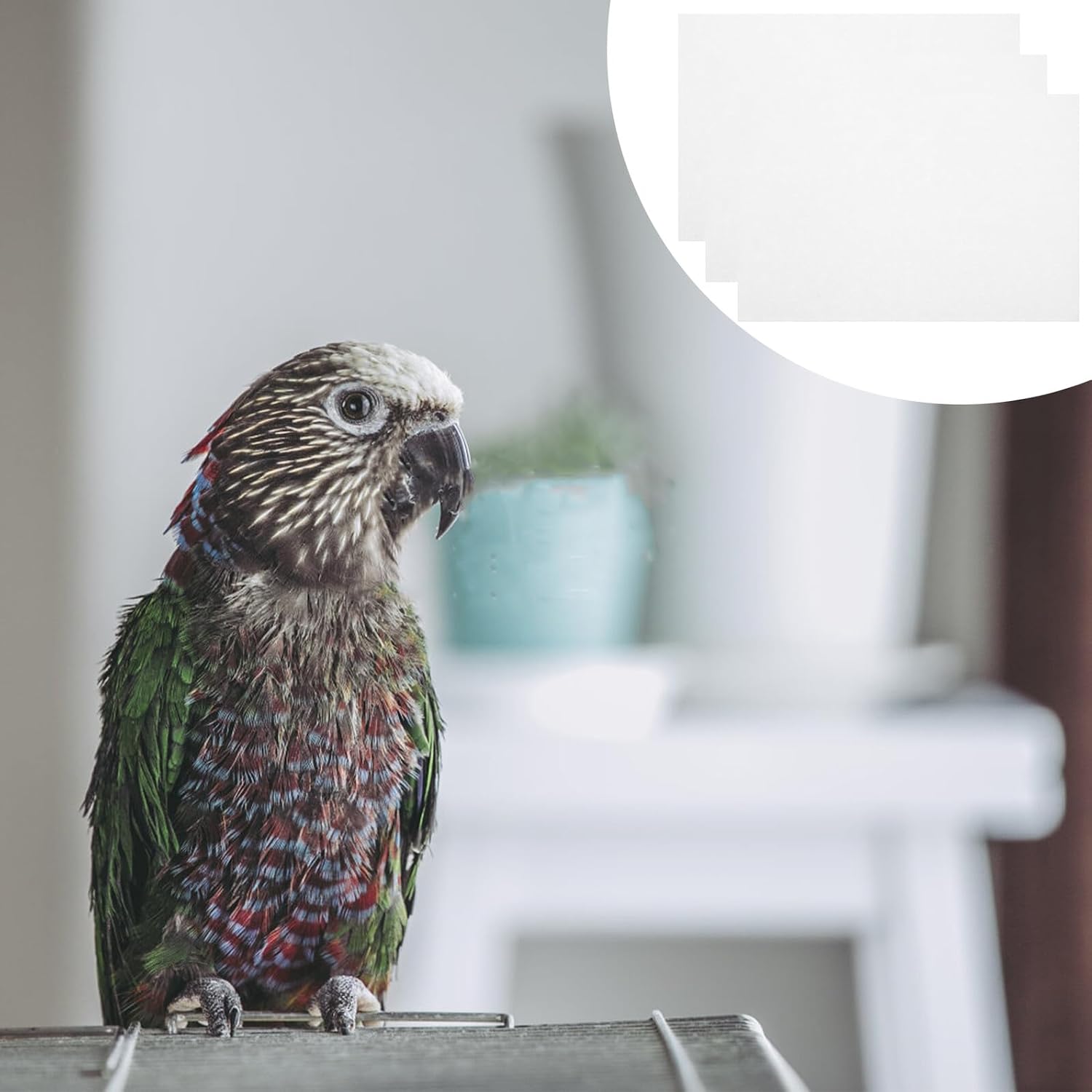 100Pcs Absorbent Disposable Bird Cage Liners Parrot Cage Paper Mats Breathable Cushions for pet Bird Environment Easy to Use and Maintain