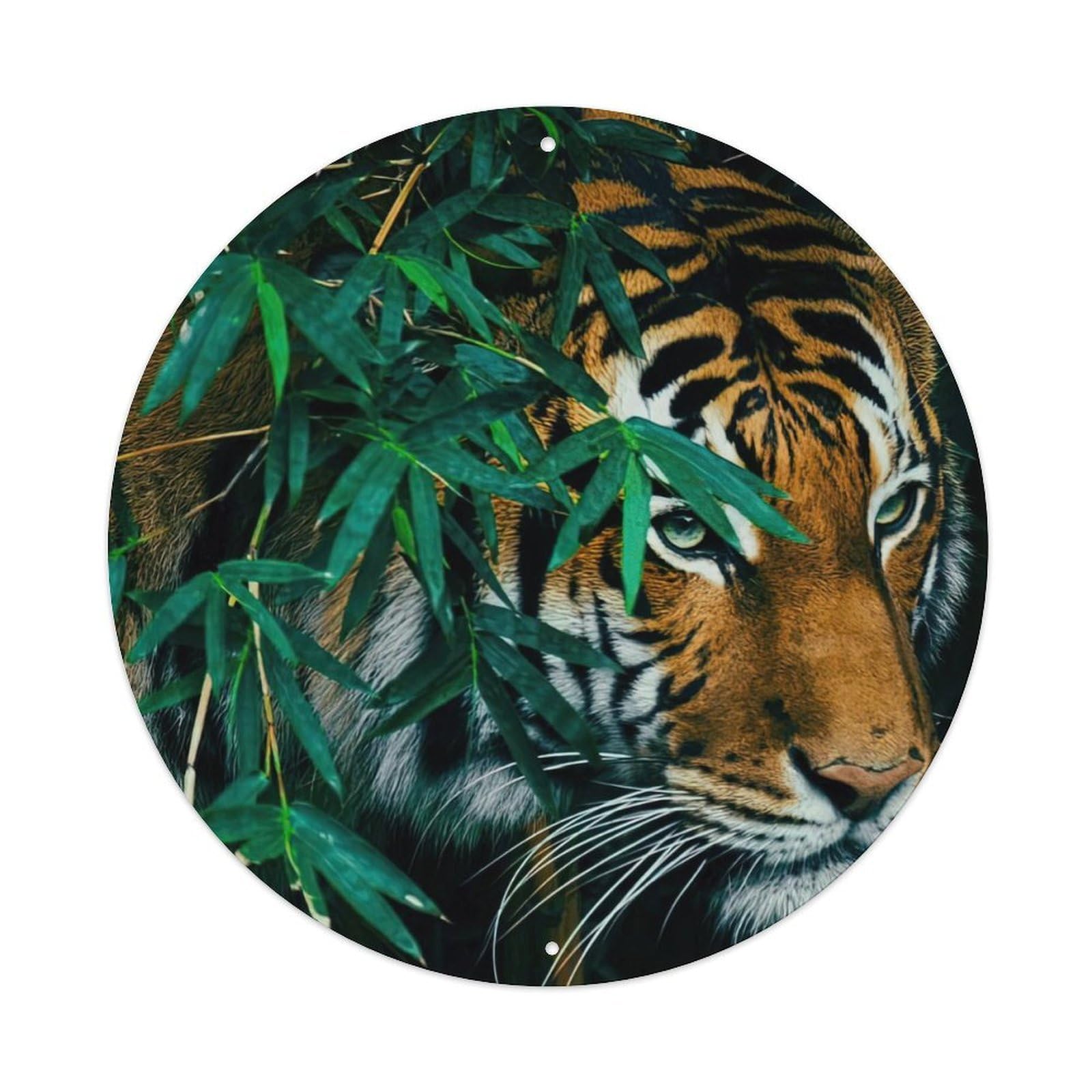 Animals Artwork Tiger in The Bamboo Forest Vintage Metal Tin Sign Plaque Wall Decor for Cafe, Club Bar, Office, Garden Metal Poster 8x8Inch