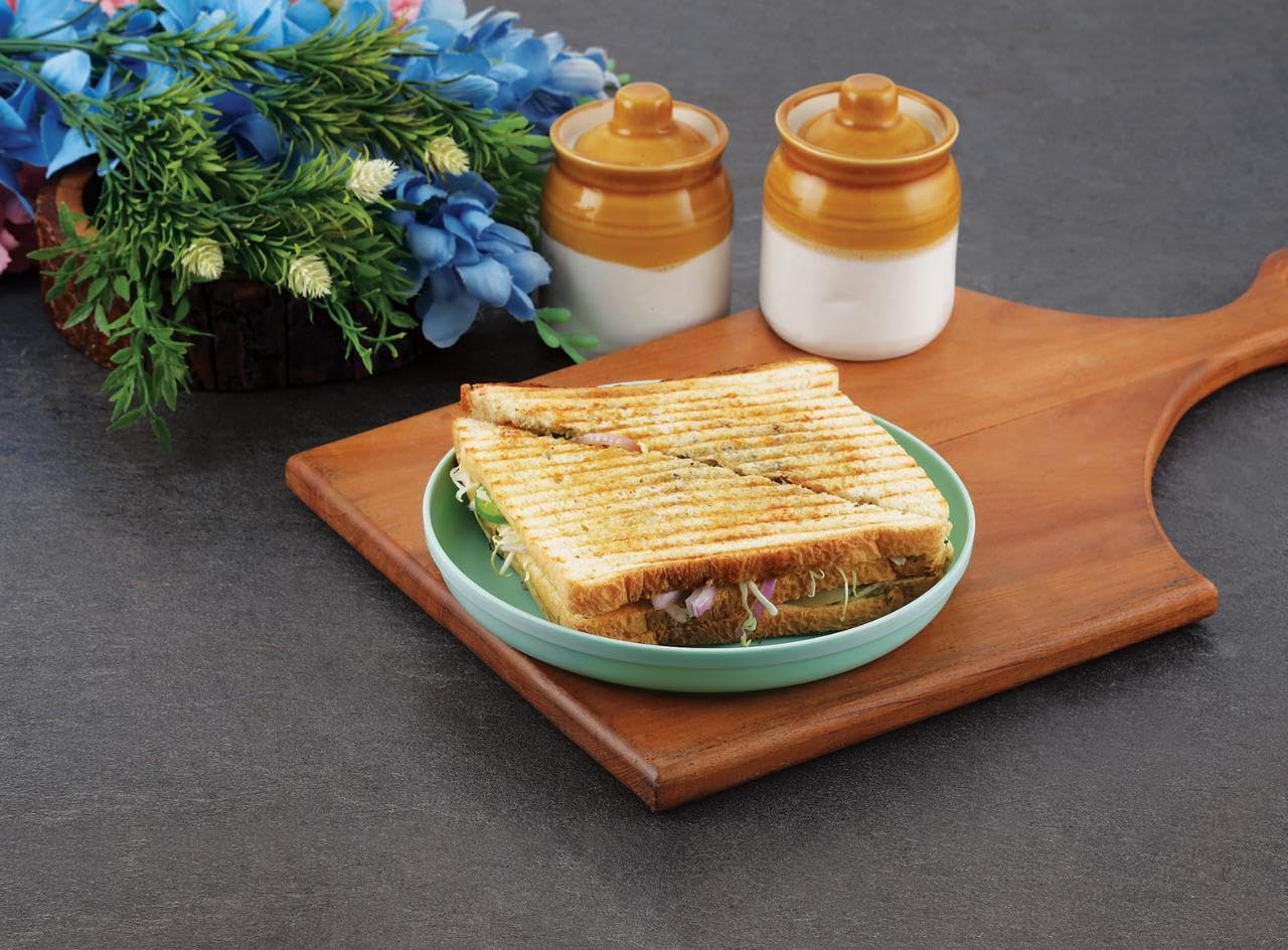 Colorful Dinner Plates Set of 6 - Durable & Dishwasher Safe -6