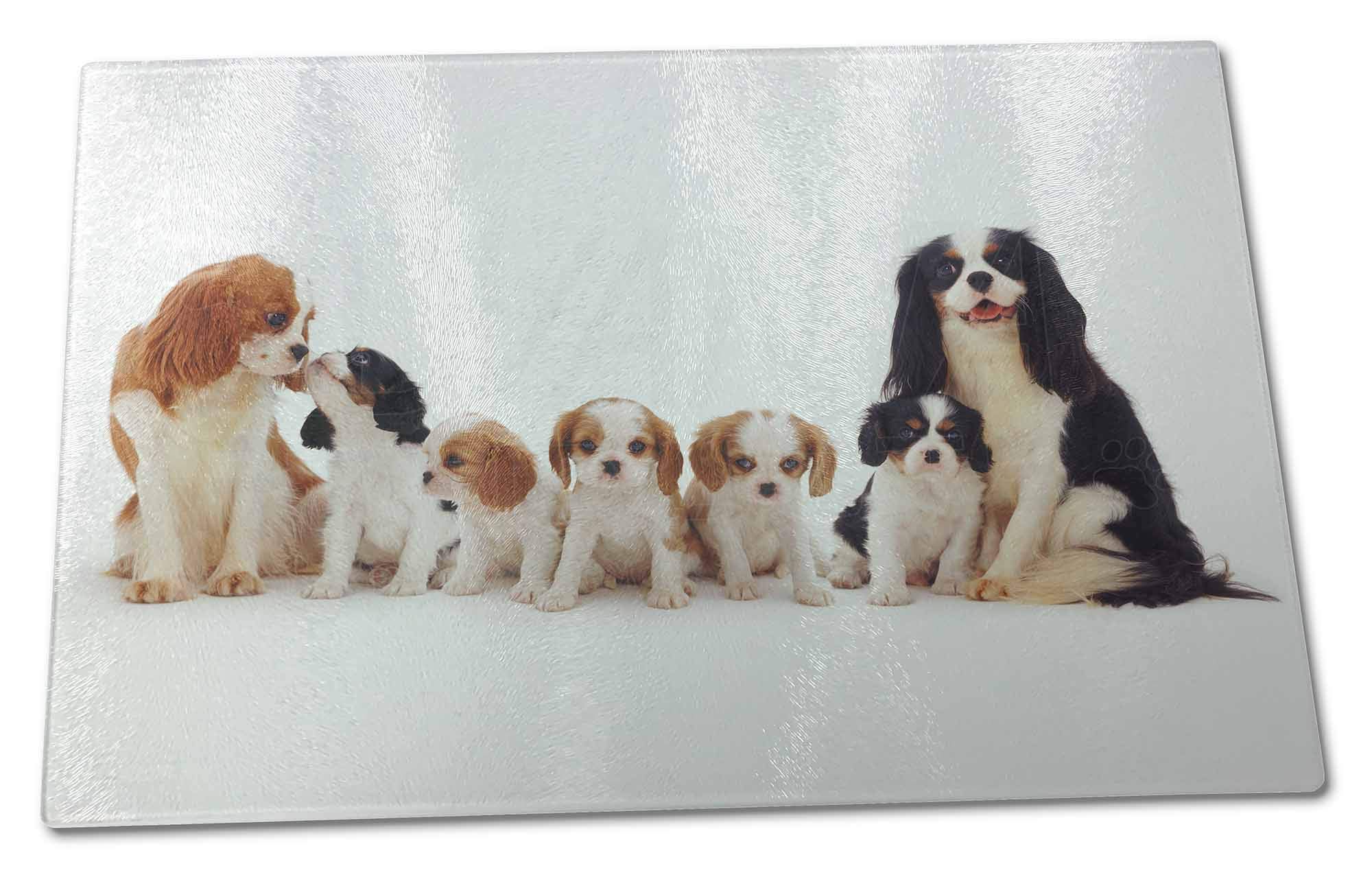 Advanta GroupKing Charles Spaniel Dogs X Large Glass Cutting Chopping Board