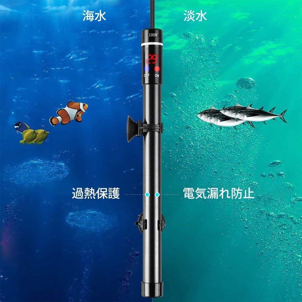 Amazon | セーフティヒーター 100W 熱帯魚 水槽用 ヒーター 淡水 