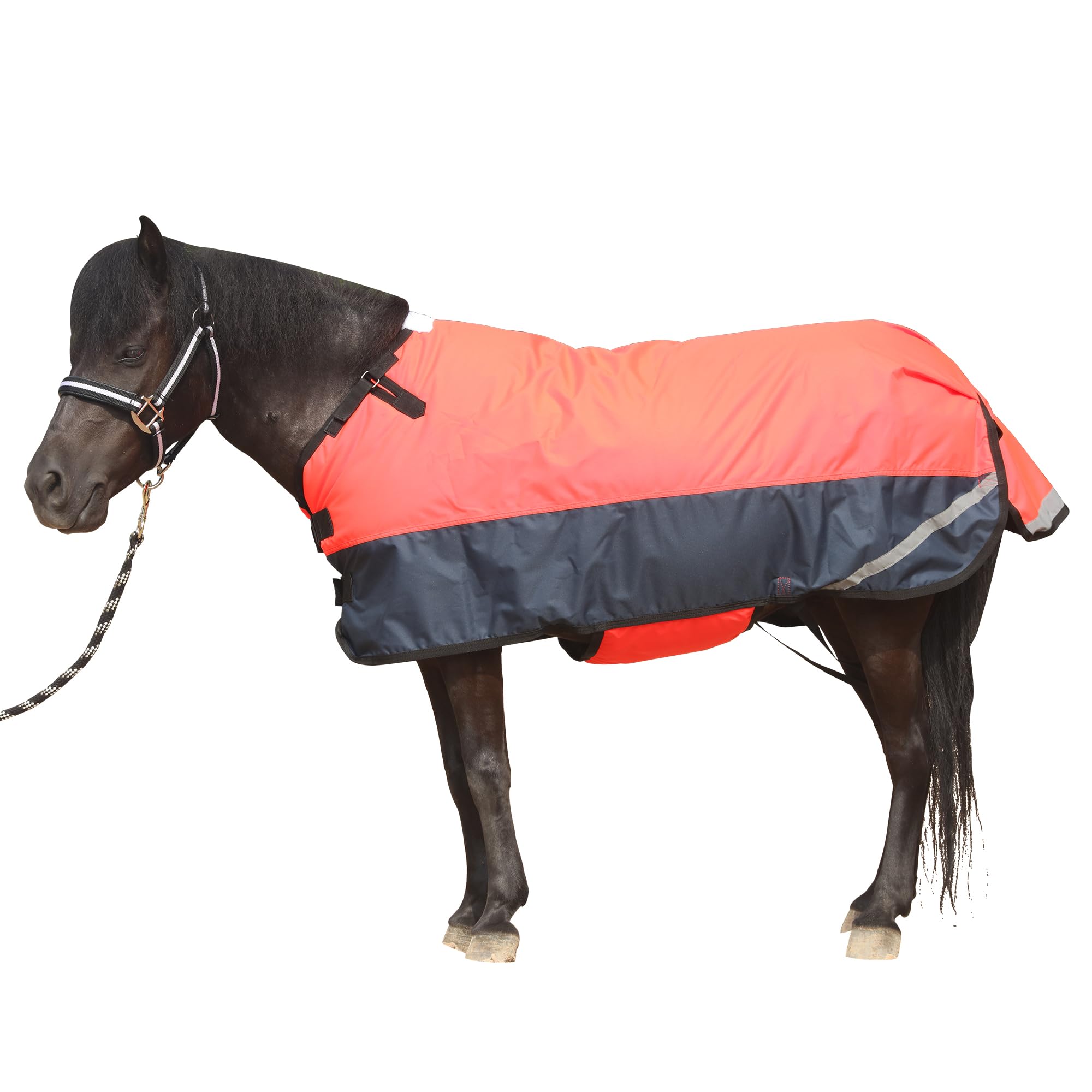 300D Foal/Mini/Pony Horse Blanket, 150g Waterproof Winter Turnout