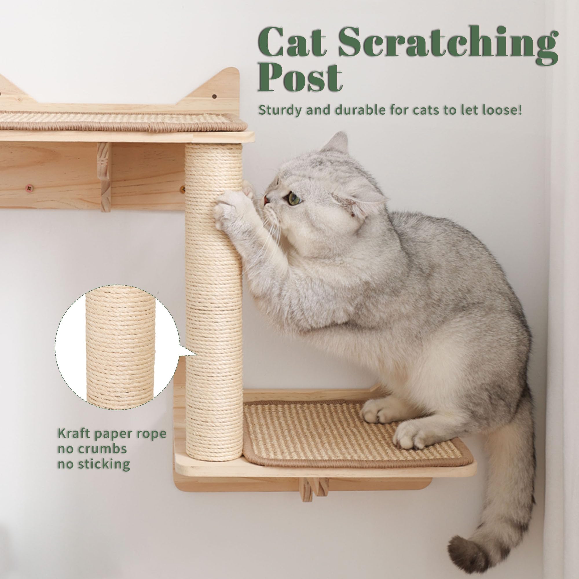 Set di mensole da parete per gatti, con casa, tiragraffi in sisal, gradini per arrampicarsi, in legno massello, per interni, design salvaspazio