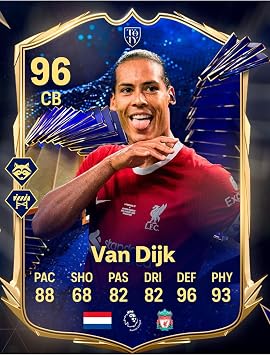 512 STORE Van Dijk Fut Card Temal  Duvar Poster, 32523523t2543242